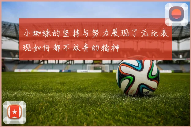 小蜘蛛的坚持与努力展现了无论表现如何都不放弃的精神
